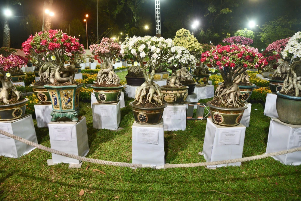 z7529255535079_5c79b542bc777c5eff3e2ed8796d46eaHội Hoa Xuân TP.HCM 2026.jpg