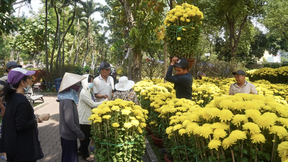 DSC00287 4- Hoa tết - Bính Ngọ 2026 - Chợ Hoa - -hoa tết, chợ hoa, tết, Bính Ngọ 2026 -.jpg