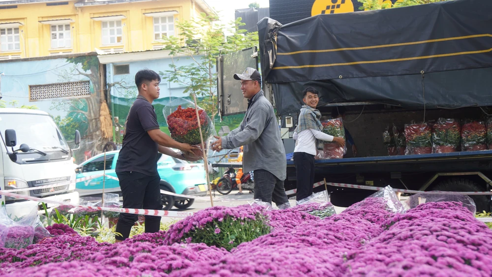 DSC00298 4- Hoa tết - Bính Ngọ 2026 - Chợ Hoa - -hoa tết, chợ hoa, tết, Bính Ngọ 2026 -.JPG