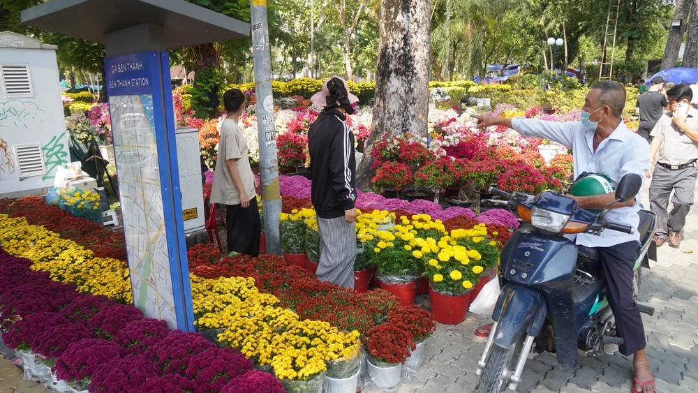 DSC00300 4- Hoa tết - Bính Ngọ 2026 - Chợ Hoa - -hoa tết, chợ hoa, tết, Bính Ngọ 2026 -.JPG