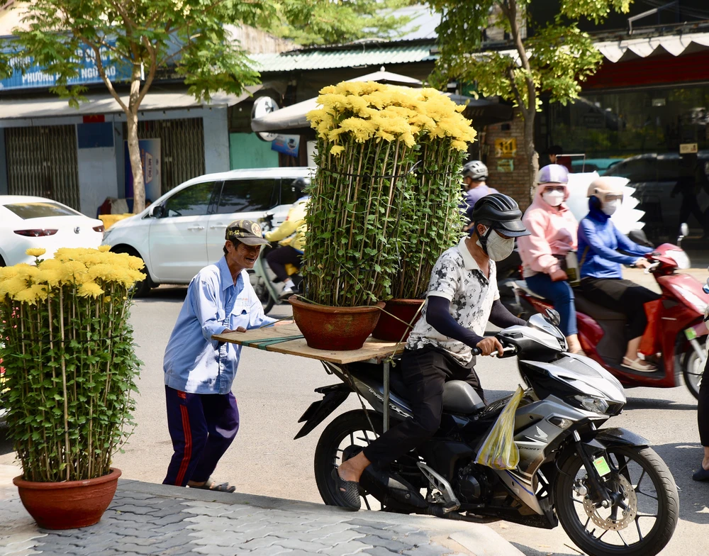 - Hoa tết - Bính Ngọ 2026 - Chợ Hoa - Hoa Lan - Lan hồ điệpDSC_2726 4-hoa tết, chợ hoa, tết, Bính Ngọ 2026 -.jpg