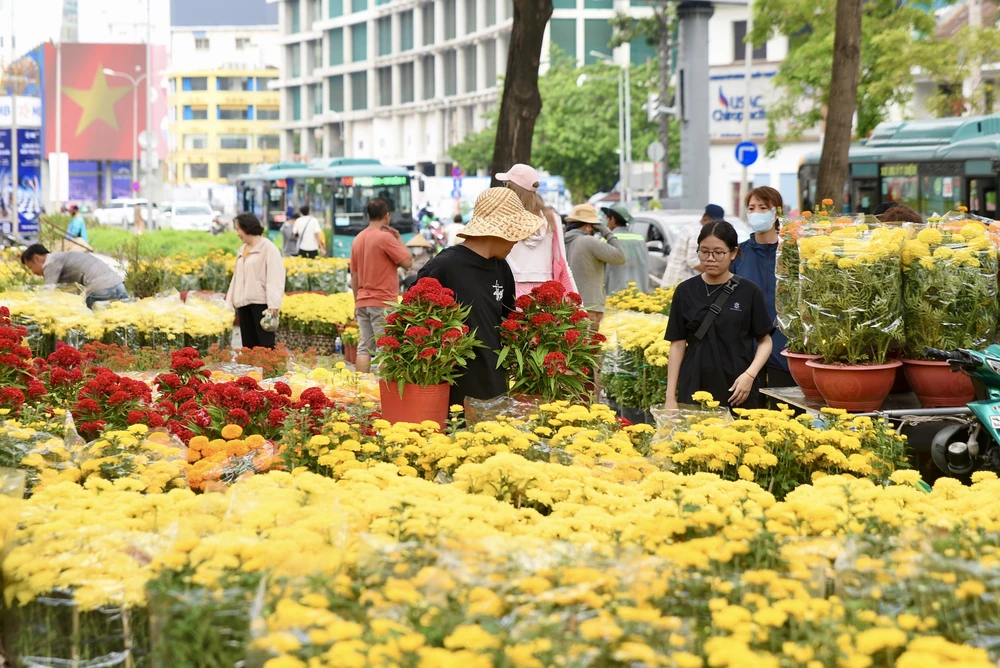 - Hoa tết - Bính Ngọ 2026 - Chợ Hoa - Hoa Lan - Lan hồ điệpDSC_2745 4-hoa tết, chợ hoa, tết, Bính Ngọ 2026 -.jpg