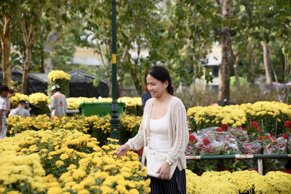 - Hoa tết - Bính Ngọ 2026 - Chợ Hoa - Hoa Lan - Lan hồ điệpDSC_2758 4-hoa tết, chợ hoa, tết, Bính Ngọ 2026 -.jpg