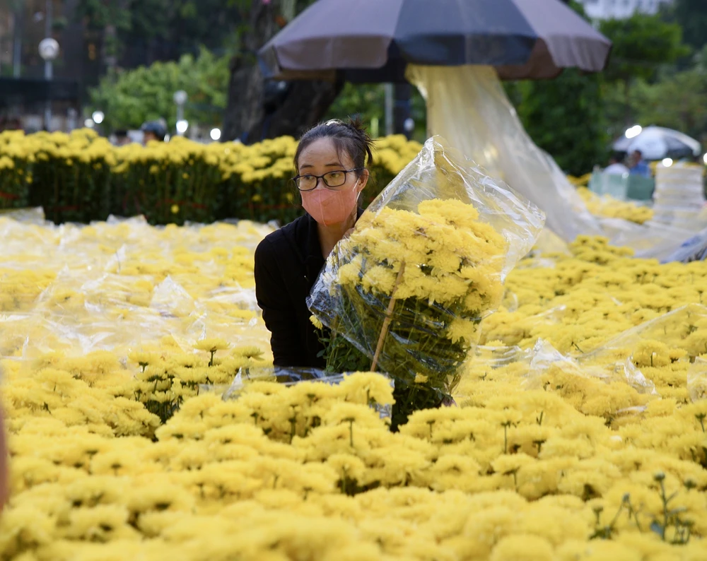 - Hoa tết - Bính Ngọ 2026 - Chợ Hoa - Hoa Lan - Lan hồ điệpDSC_2781 4.jpg