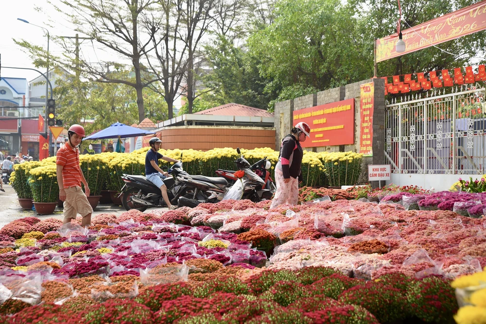 - Hoa tết - Bính Ngọ 2026 - Chợ Hoa - Hoa Lan - Lan hồ điệpDSC_2826 4.jpg