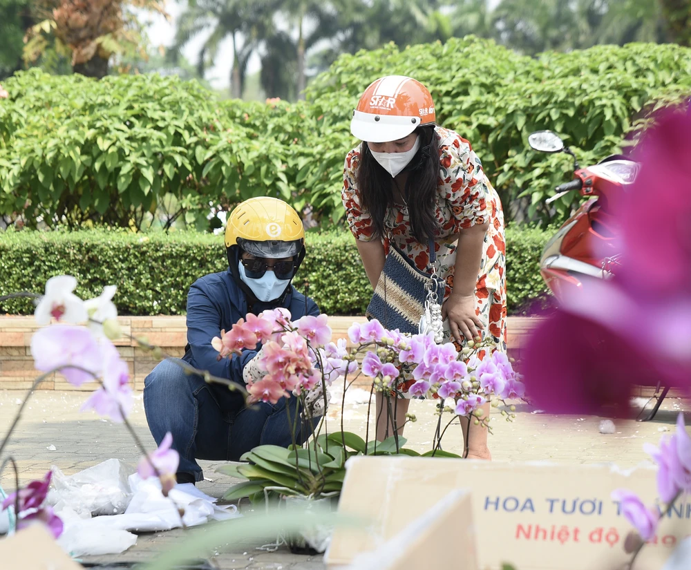 lan hồ điệp, chợ hoa, hoa tết