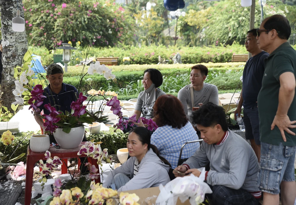 lan hồ điệp, chợ hoa, hoa tết