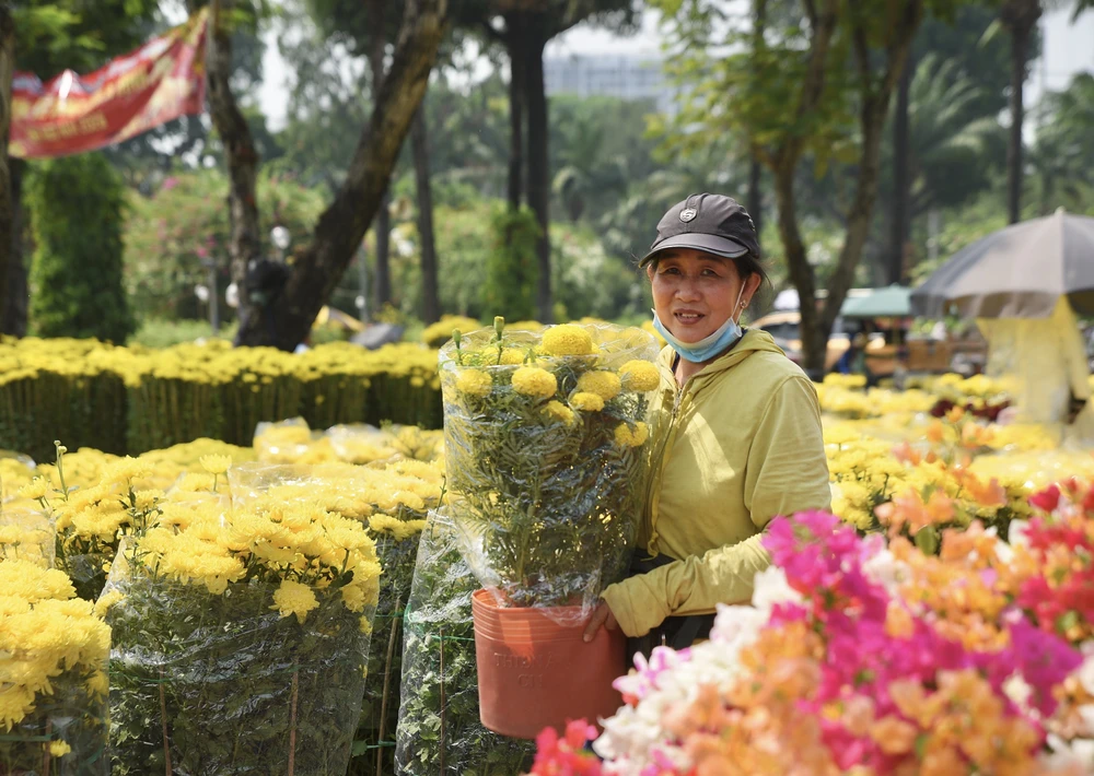 - Hoa tết - Bính Ngọ 2026 - Chợ Hoa - Hoa Lan - Lan hồ điệpDSC_2968 4.jpg