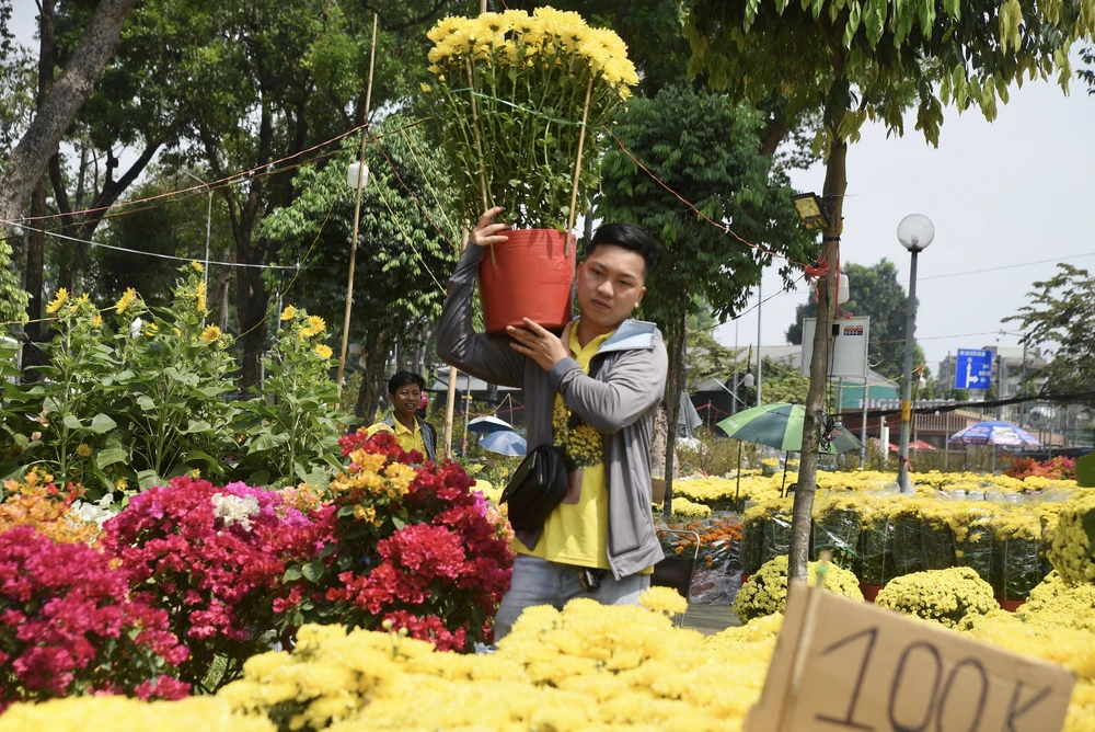 - Hoa tết - Bính Ngọ 2026 - Chợ Hoa - Hoa Lan - Lan hồ điệpDSC_2987 4.jpg