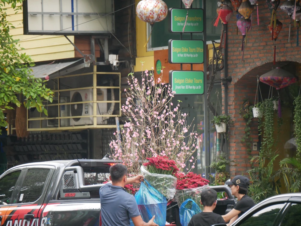 P2350078-hoa tết, chợ hoa, tết, Bính Ngọ 2026 -.JPG