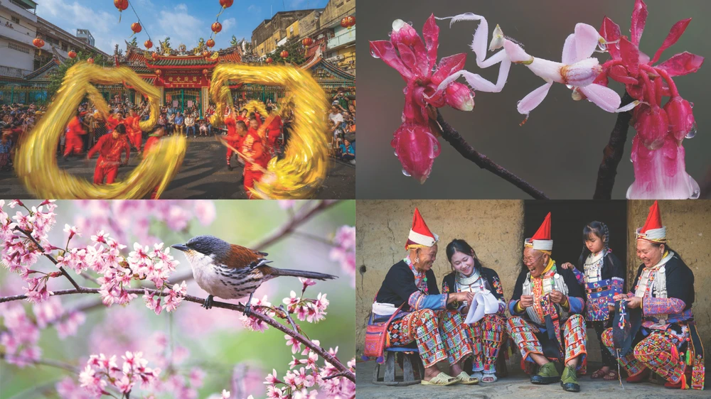 Hội Nhiếp ảnh TP.HCM, mùa xuân, trao giải, ảnh, xuân bính ngọ.png