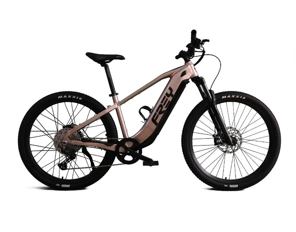 Xe đạp điện có động cơ 1.000W đi được 198 km. Ảnh: Autoevolution.