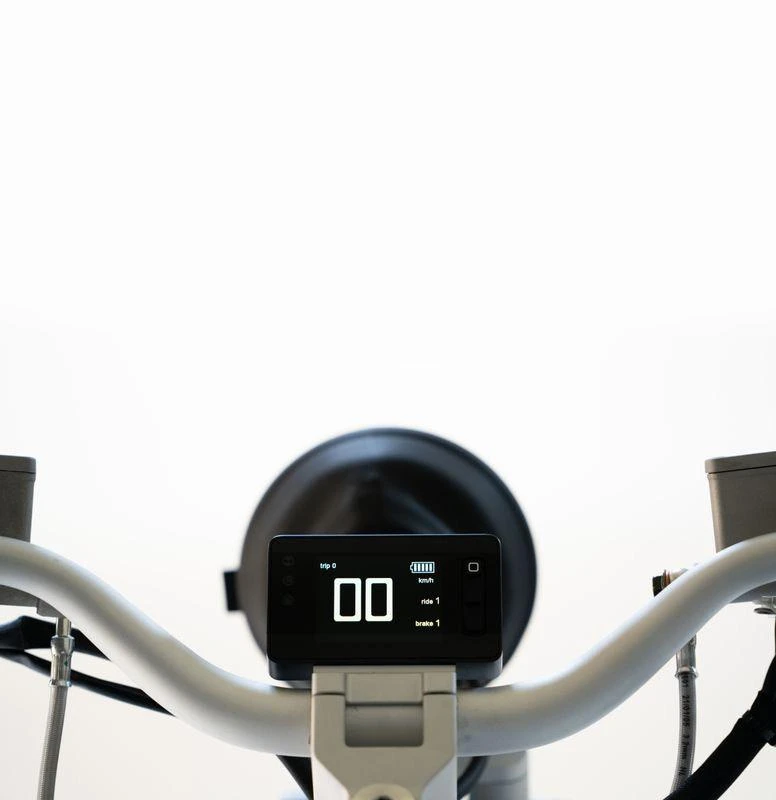 Chiếc xe đạp này nặng 196 lb (89 kg) và có thể tùy chỉnh cao. Ảnh: Autoevolution.