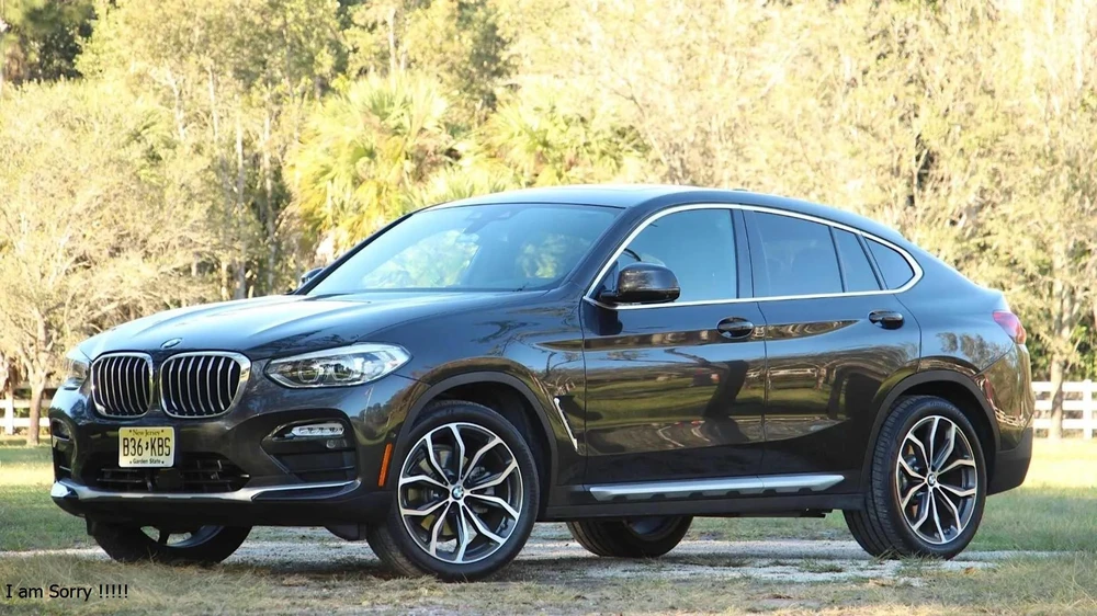 BMW X4 2019. Ảnh: Hotacrs.