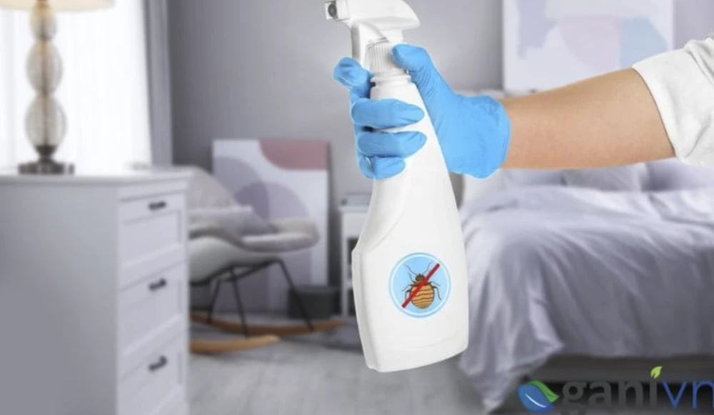 Thuốc xịt côn trùng. Ảnh Internet