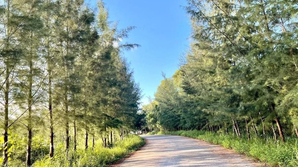 Bạn có thể đi tới đảo Quan Lạn Quảng Ninh để trải nghiệm bằng bất cứ phương tiện nào.