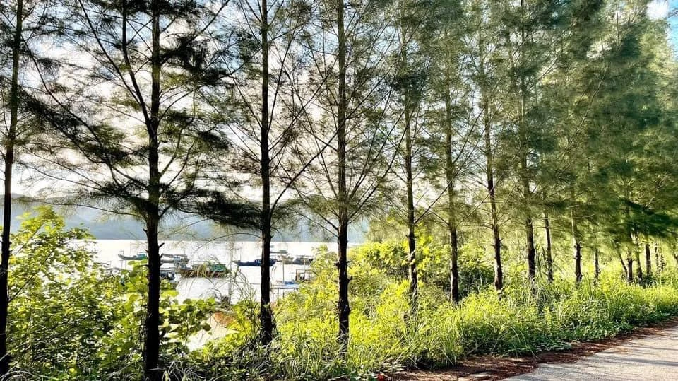 Hòn đảo này có tổng diện tích hơn 10 km2.