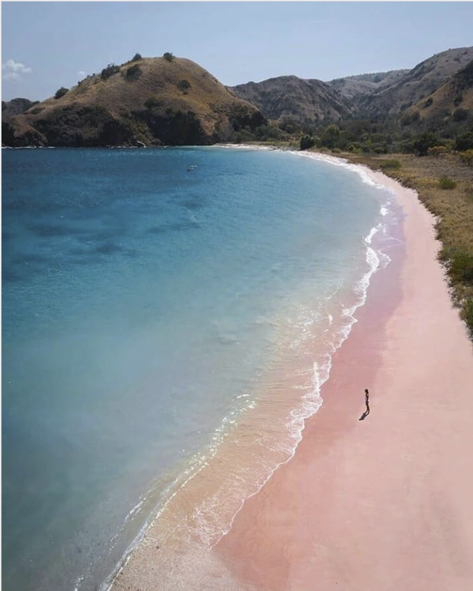 Bãi biển màu hồng, đảo Komodo. Ảnh: Thetravel.