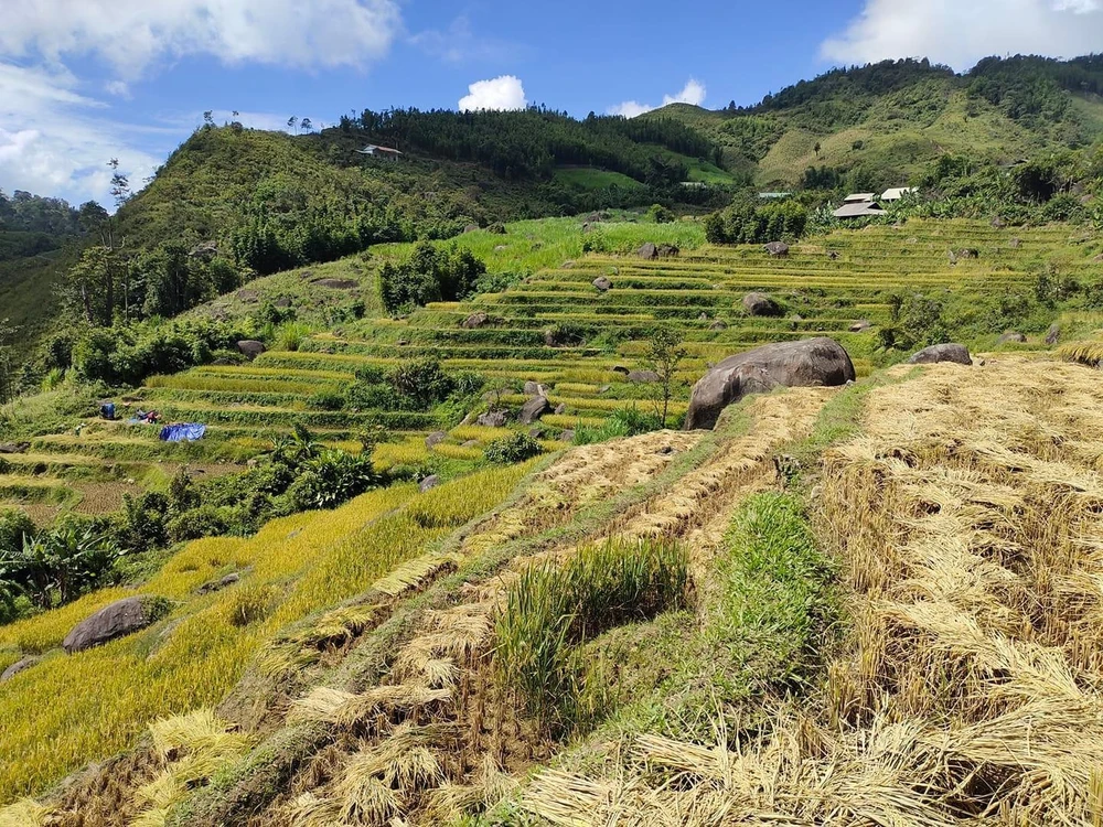 Các hộ đồng bào dân tộc Mông sinh sống ở trên đồi cao nhất. Ảnh: Thanh Hảo.