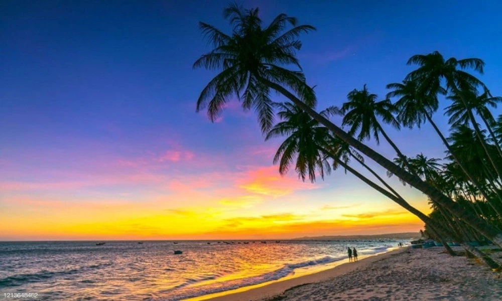 Nơi đây, du khách sẽ được đắm mình trong làn gió nhẹ nhàng, nhâm nhi một ly nước ép thanh long và thưởng thức nhiều loại bánh kẹo nhiệt đới.. Ảnh: Intenet.