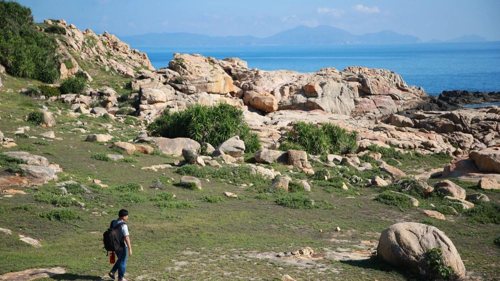 Cù Lao Mái Nhà vẫn còn giữ được nét tự nhiên, hoang sơ. Ảnh: Internet. Cù Lao Mái Nhà vẫn còn giữ được nét tự nhiên, hoang sơ. Ảnh: Internet.