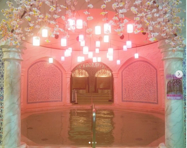 Suối nước nóng Hakone Onsen. Ảnh: Thetravel.