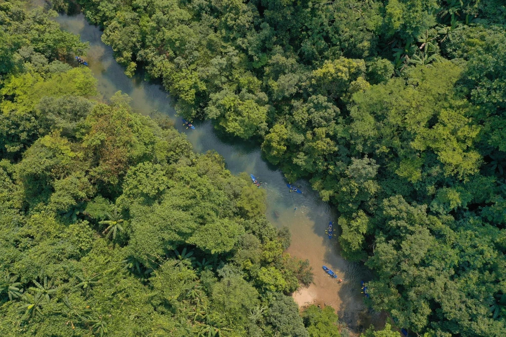 Di chuyển vào các động có thể đi bộ hoặc bằng thuyền. Ảnh: Lý Hoàng.