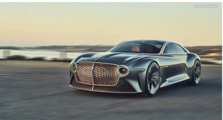 Lưới khổng lồ. Ảnh: Hotcars.