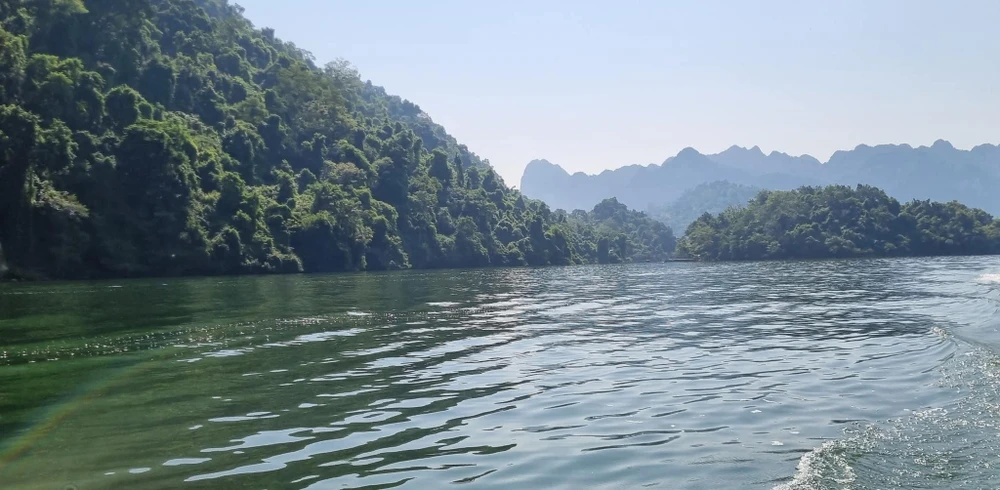 Hồ Ba Bể được thiên nhiên ưu ái ban tặng thảm thực vật đa dạng, phong phú.