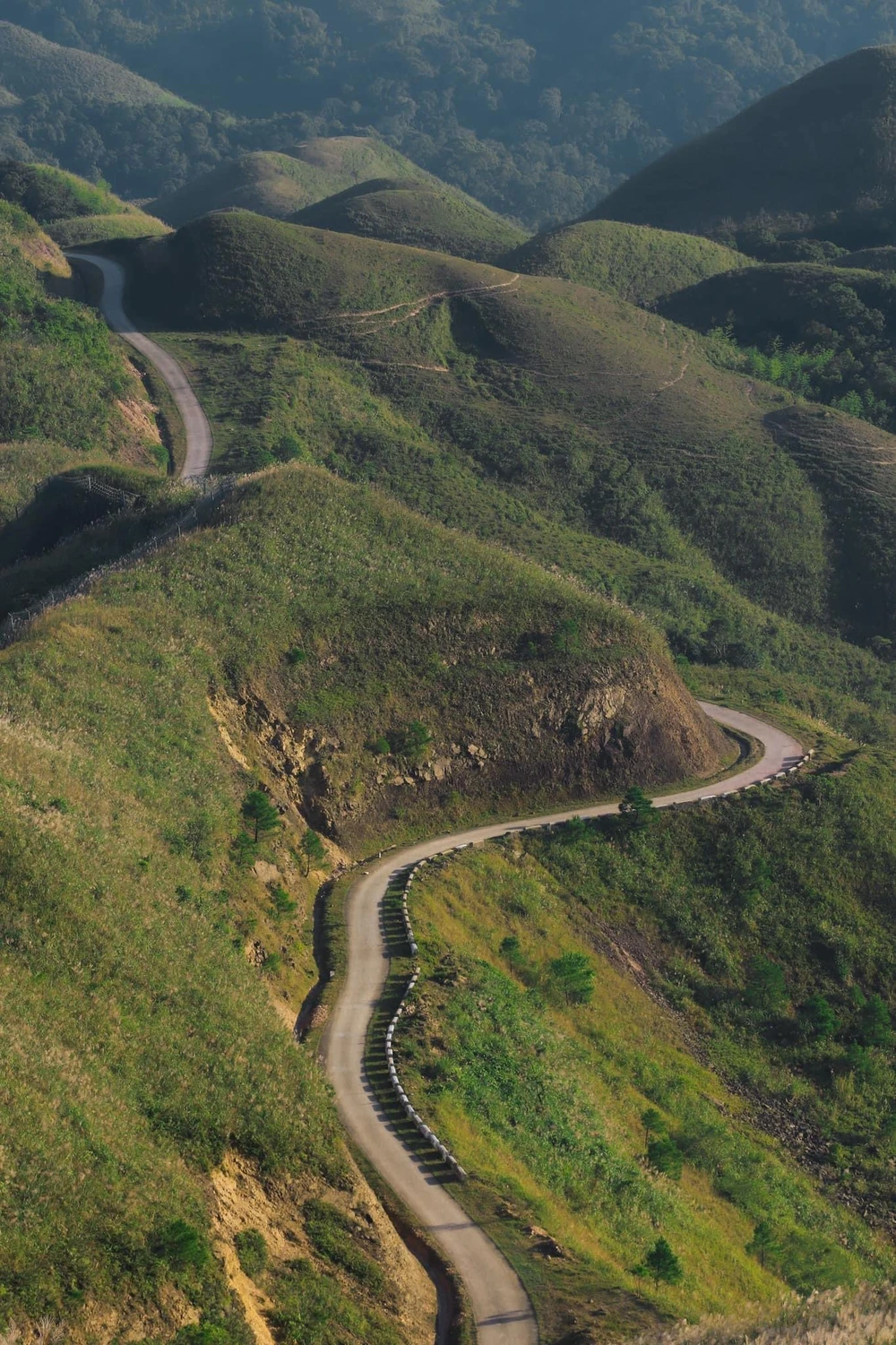 Cung đường uốn lượn, men theo núi đồi cỏ lau.