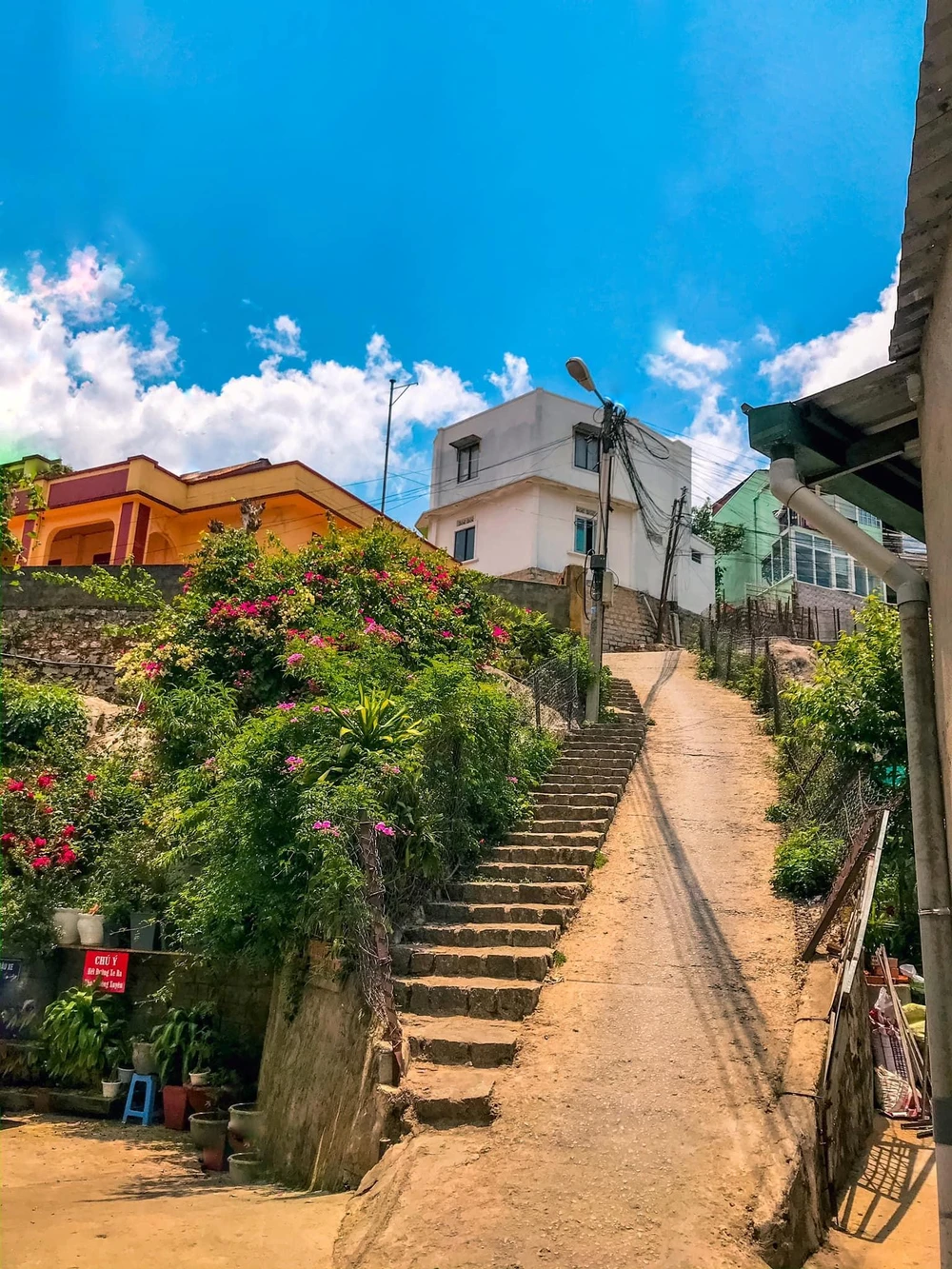 Dốc nhà bò là một trong điểm "sống ảo" nổi tiếng thu hút du khách. Ảnh: IDALAT. Dốc nhà bò là một trong điểm "sống ảo" nổi tiếng thu hút du khách. Ảnh: IDALAT.