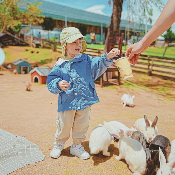 Vui chơi với thú cưng tại Mongo Land. Ảnh: Fanpage Mongo Land Dalat.