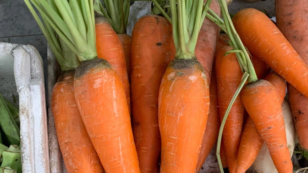 Cà rốt là một loại rau không chứa nhiều carbohydrate. Ảnh: PHƯƠNG LÊ.