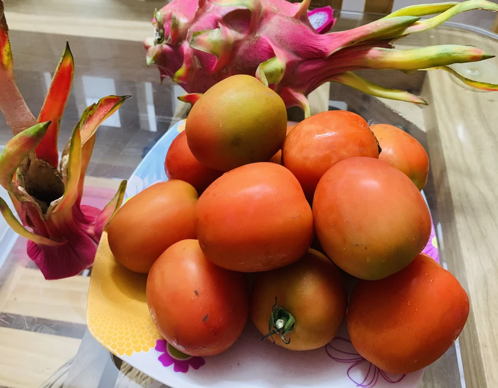 Ăn nhiều cà chua cũng giảm các bệnh thoái hóa thần kinh khác như bệnh Parkinson. Ảnh: PHƯƠNG LÊ. Ăn nhiều cà chua cũng giảm các bệnh thoái hóa thần kinh khác như bệnh Parkinson. Ảnh: PHƯƠNG LÊ.