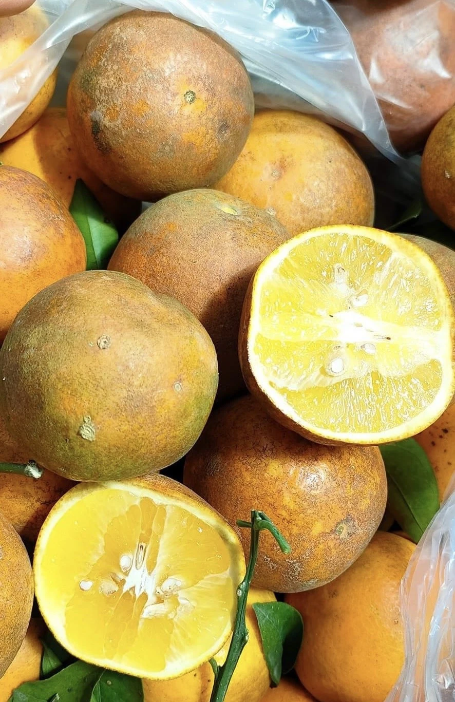 Không nên trộn sữa với các loại trái cây có múi chua như cam, chanh và dứa. Ảnh: PHƯƠNG LÊ.