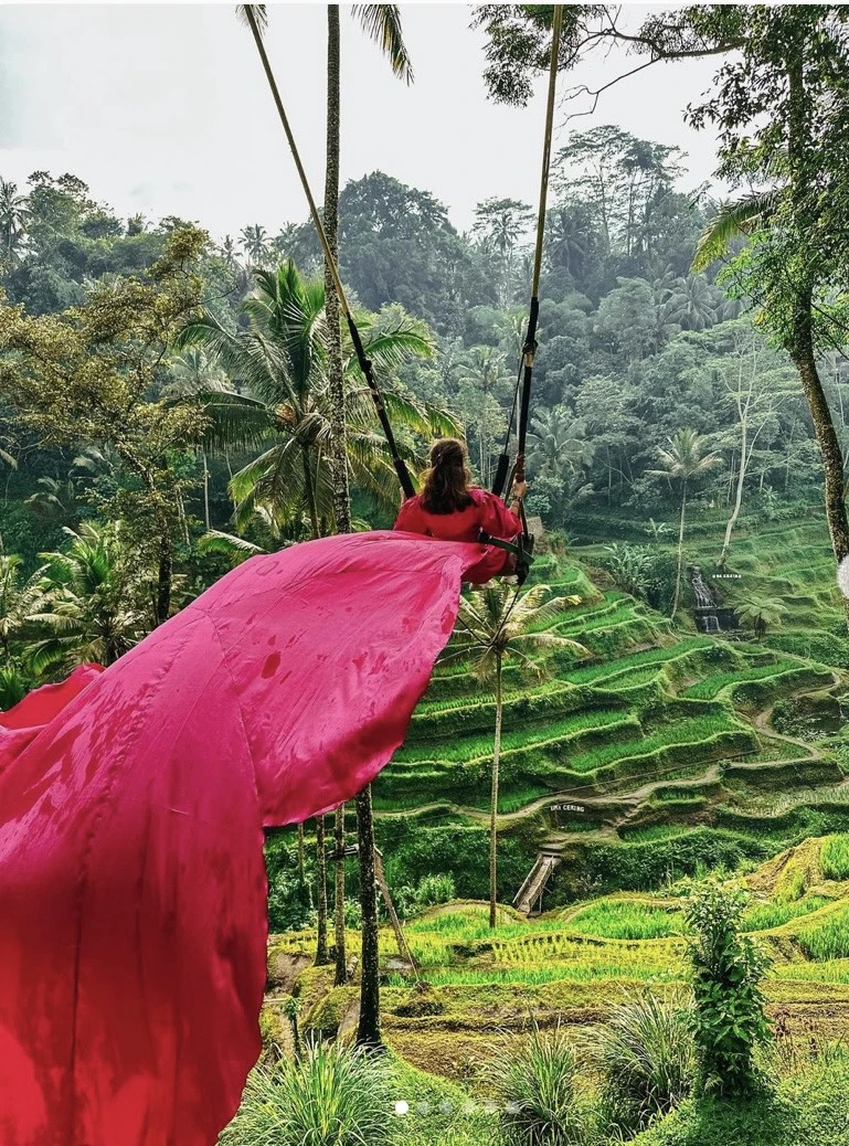 Ruộng bậc thang Tegalalang, Bali, Indonesia được công nhận là Di sản Thế giới. Ảnh: Thetravel.