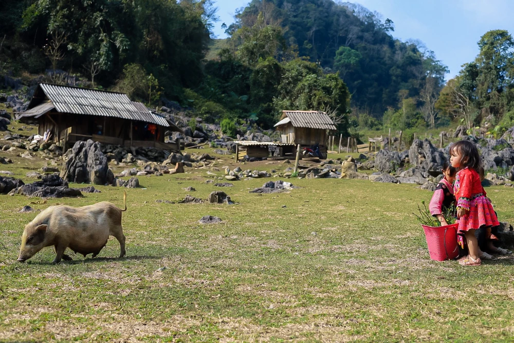 Tới đây du khách sẽ được ngắm nhìn phong cảnh, em bé người H'Mông trong bộ trang phục độc đáo. Ảnh: BẢO NGÂN.