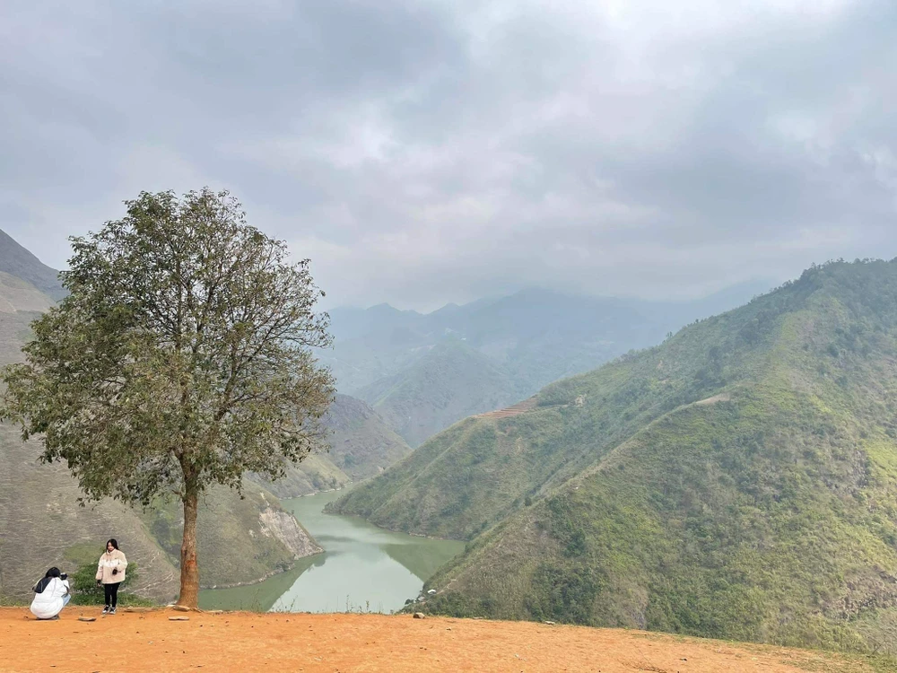 Du khách check-in tại cây cô đơn. Ảnh: KIỀU THÚY.