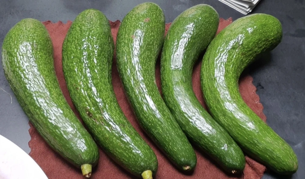 Bơ là một nguồn cung cấp magie dồi dào. Ảnh: PHƯƠNG LÊ.