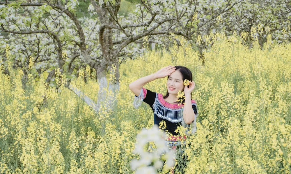 Du khách check-in bên vườn lê, cải. Ảnh: THU HIỀN.