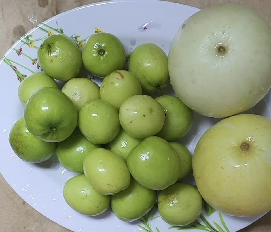 Ăn táo giúp bảo vệ chống lại bệnh ung thư, bệnh tim, hen suyễn và bệnh Alzheimer. Ảnh: PHƯƠNG LÊ.