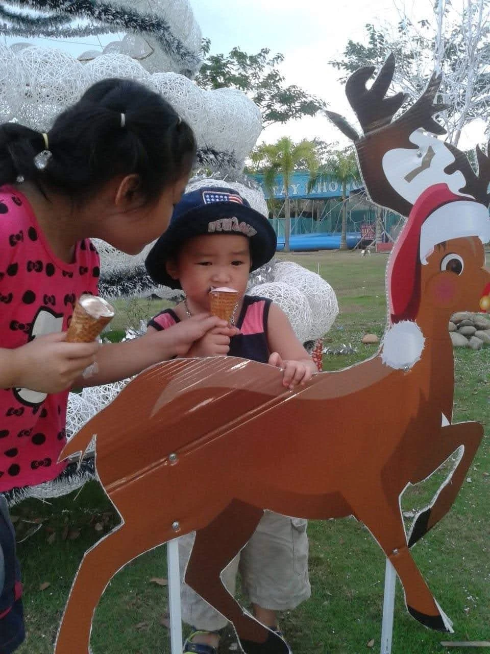 Kem chứa các vi khuẩn như campylobacter, khuẩn salmonella, E. coli và listeria. Ảnh: PHƯƠNG LÊ.