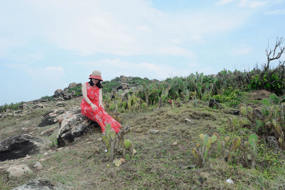 Thiên nhiên xanh mát, hoang sơ ở Phú Yên. Ảnh: SONG ANH.