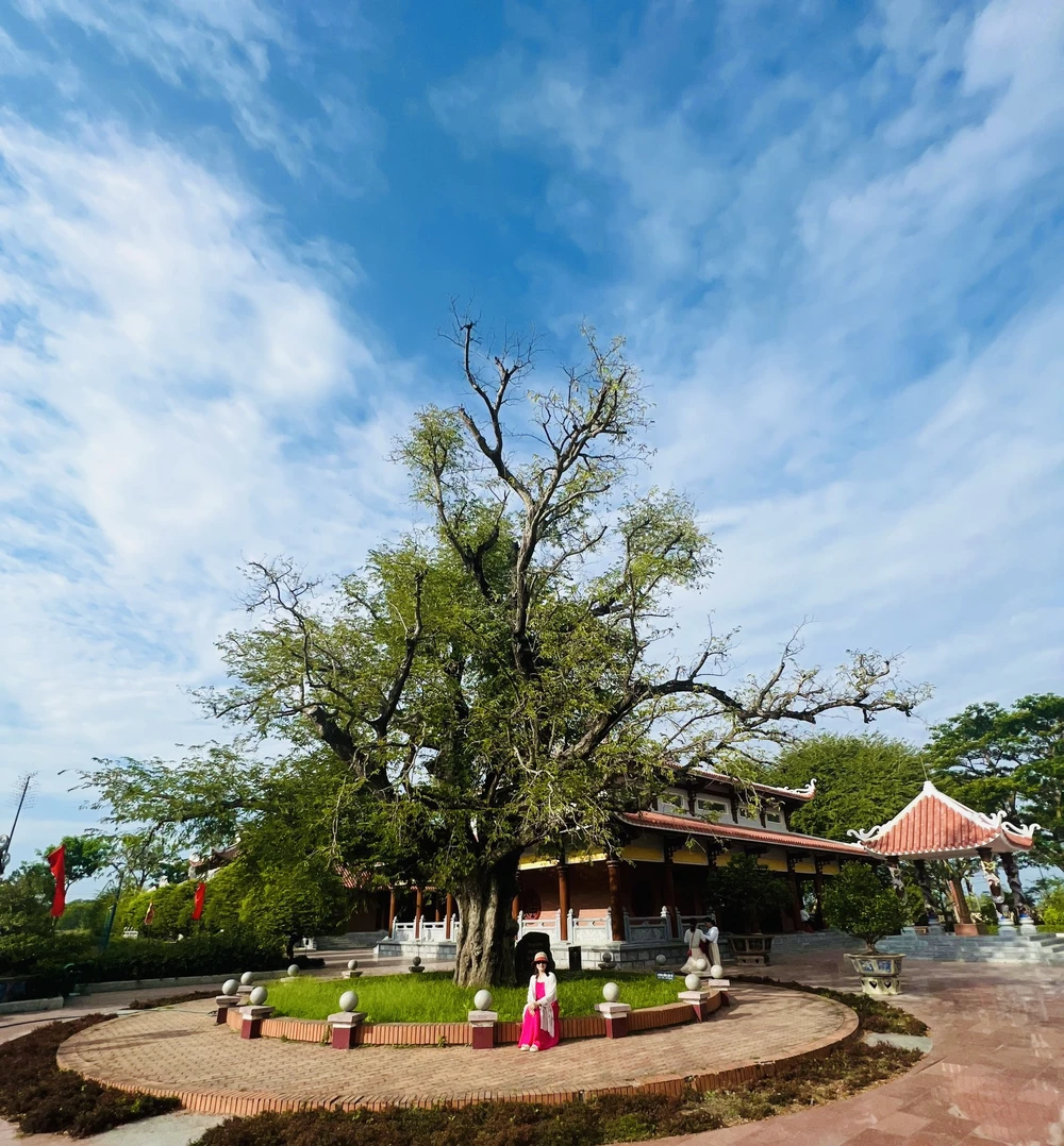 Du khách chụp hình lưu niệm bên cây me 300 tuổi. Ảnh: HIỀN NGUYỄN.