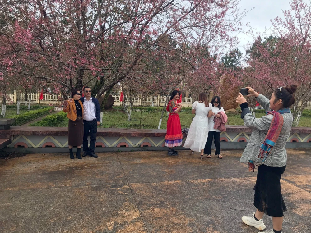 Du khách "sống ảo" bên những cây hoa anh đào. Ảnh: XUÂN DƯ.