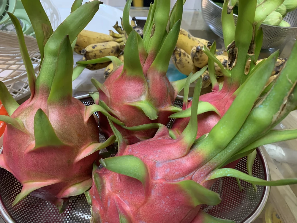 Ăn các loại trái cây không múi cũng giúp chữa ợ nóng. Ảnh: PHƯƠNG LÊ.