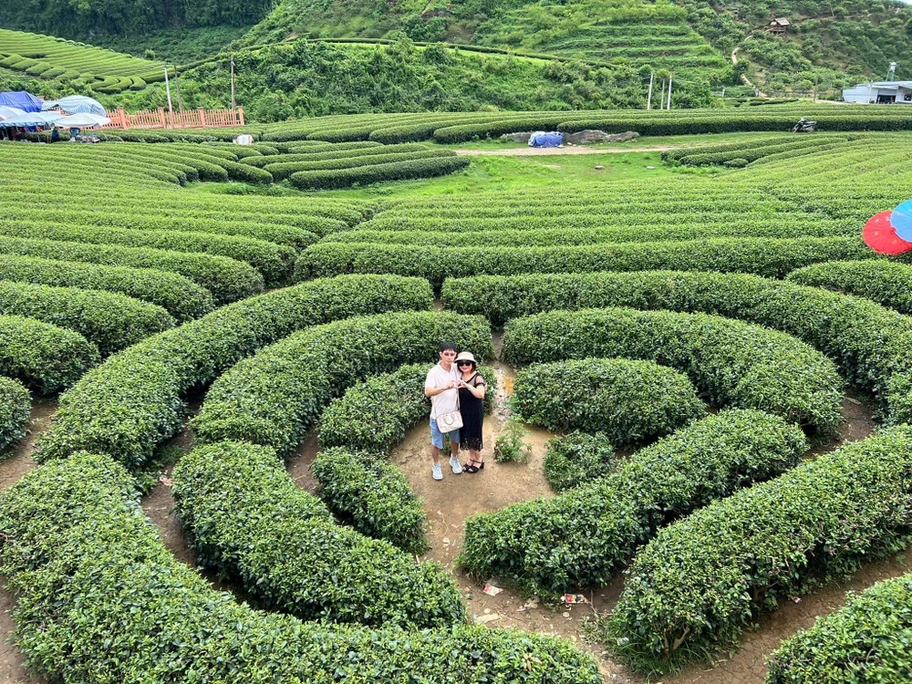 Đồi chè trái tim hay còn gọi là đồi chè trái tim Đài Loan, nơi thu hút đông đảo du khách check-in và trải nghiệm. Ảnh: Hoài An. Đồi chè trái tim hay còn gọi là đồi chè trái tim Đài Loan, nơi thu hút đông đảo du khách check-in và trải nghiệm. Ảnh: Hoài An.