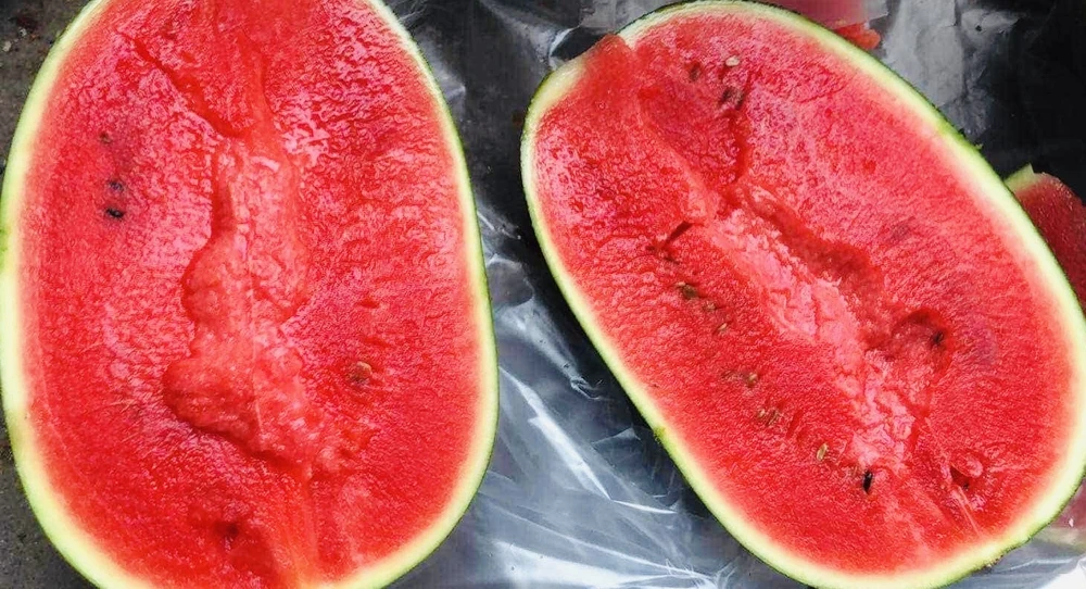 Dưa hấu chứa một chất caroten gọi là lycopene và là chất dinh dưỡng hỗ trợ sức khỏe não bộ. Ảnh: PHƯƠNG LÊ.