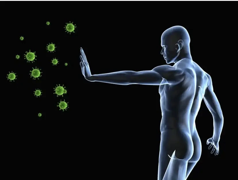 Ăn mãng cầu xiêm tăng cường khả năng miễn dịch. Ảnh: Steptohealth.