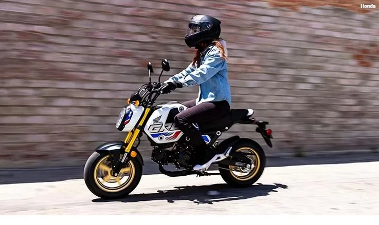 Honda MSX125 Grom giá bán lẻ khoảng 86 triệu đồng. Ảnh: Honda.